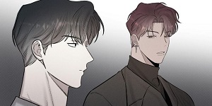 ���䰡(Alphega)