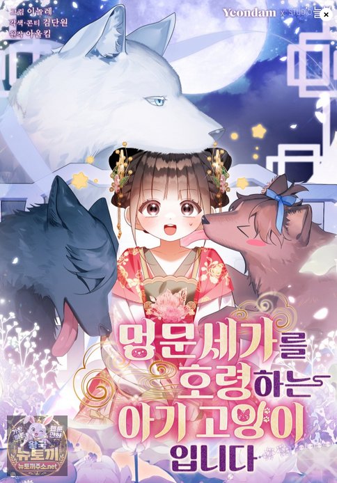 멍문세가를 호령하는 아기 고양이입니다